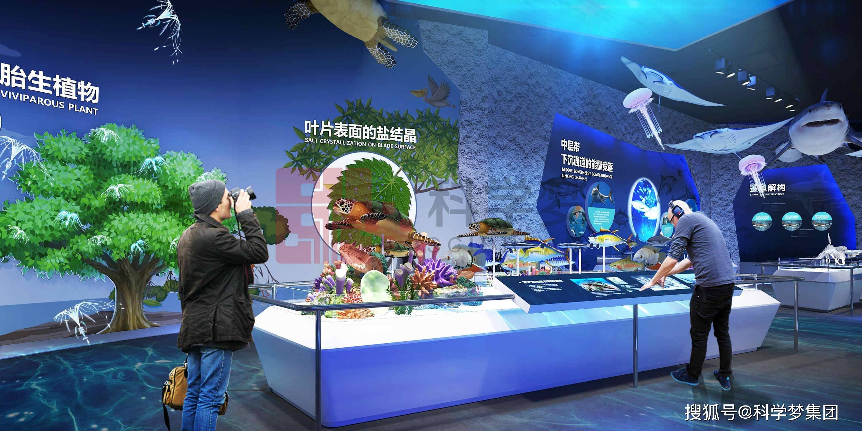 ：湿地科普馆的展示内容和互动体验PP电子模拟器试玩湿地科普馆设计(图3)